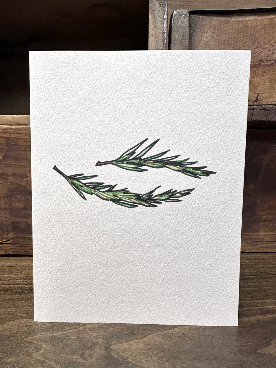 notecards: THE GARDEN