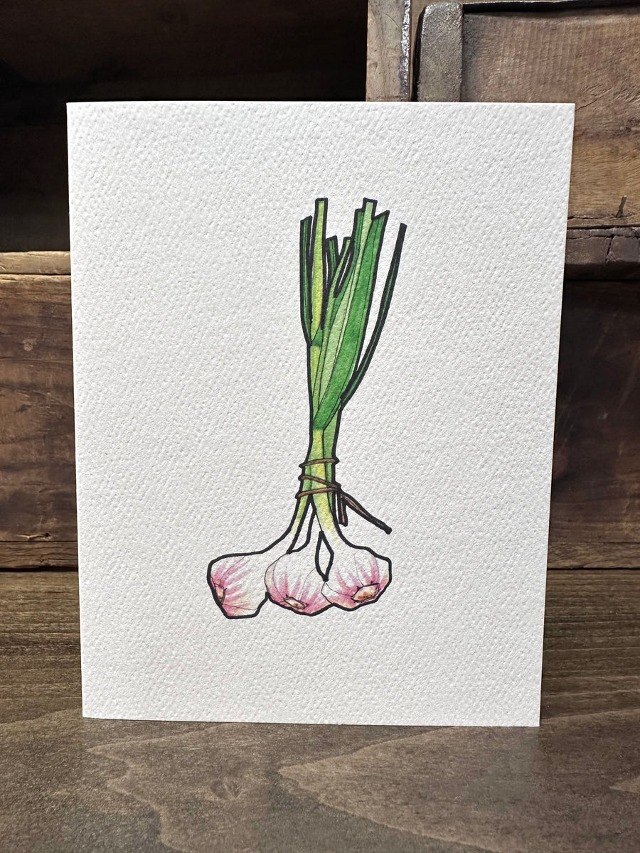 notecards: THE GARDEN