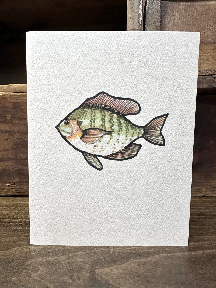 notecards: THE DIVE