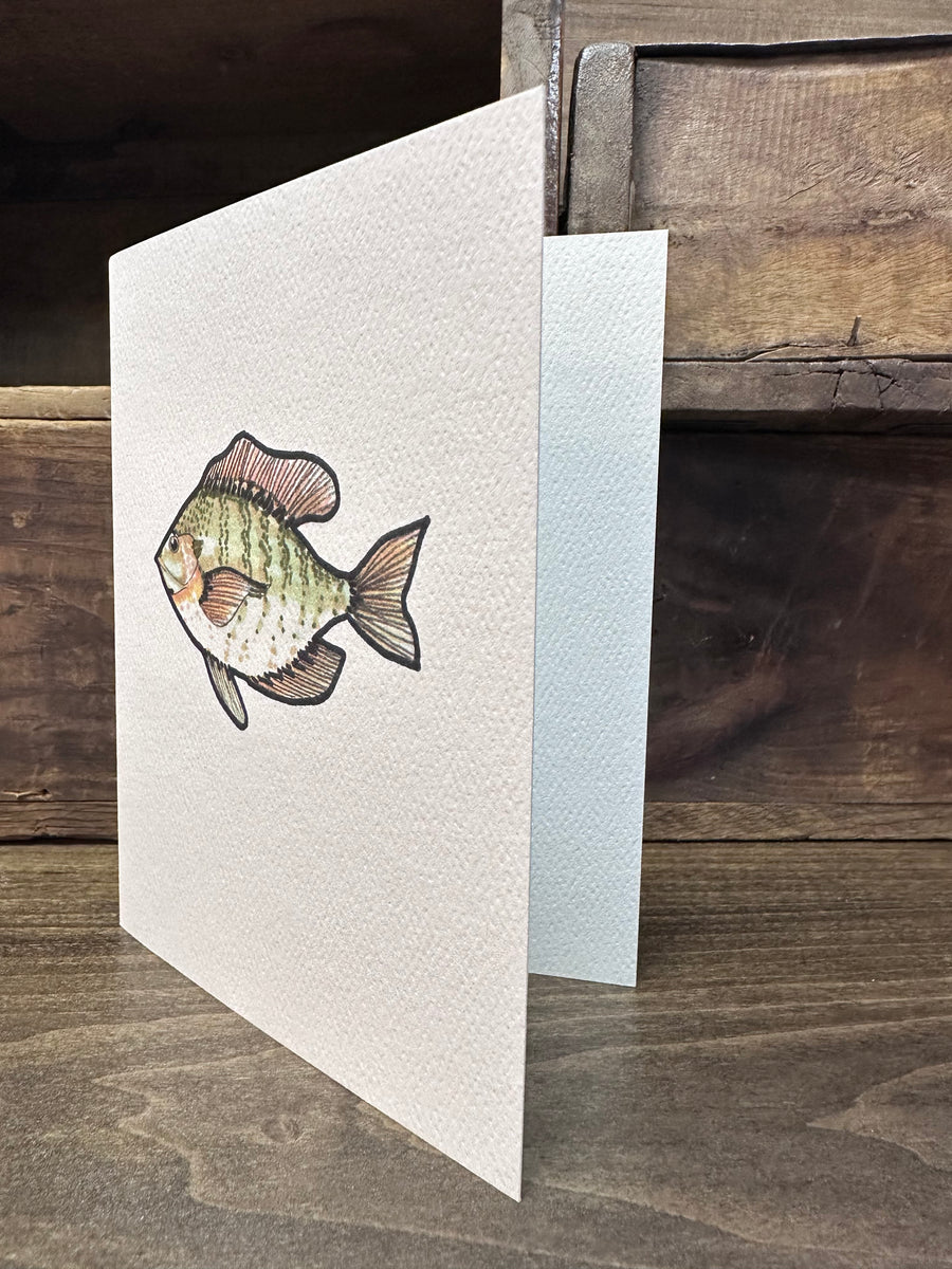 notecards: THE DIVE