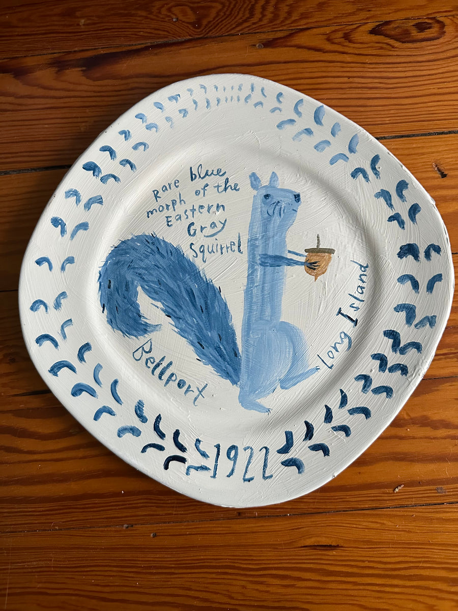 blue squirrel by jessie hartland