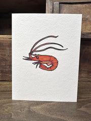 notecards: THE DIVE