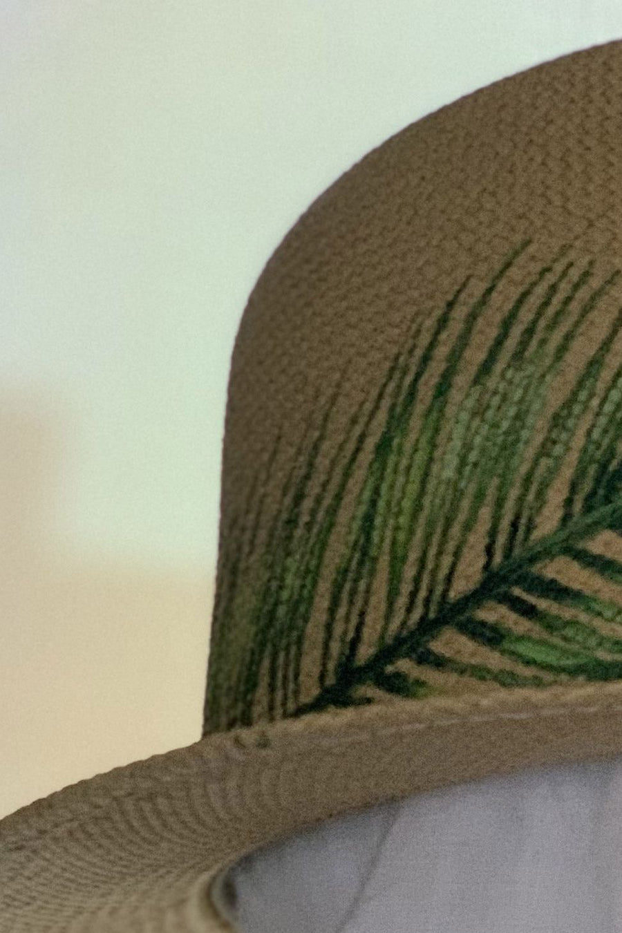 palm fedora